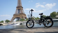 Torque Sensor