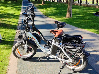 Drvetion CT20 — two e-bikes parked beside a park path